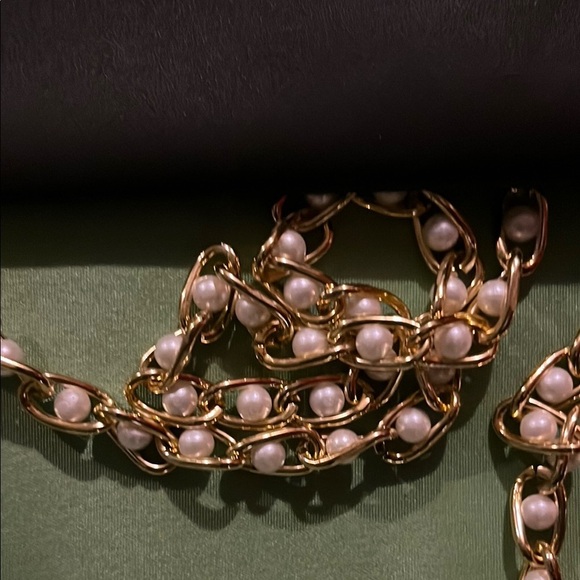 Elegant Black Clutch Insert and Chain - Picture 7 of 7